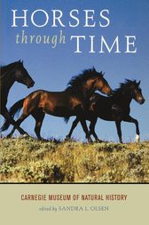 Horses through Time by Sandra L. Olsen
