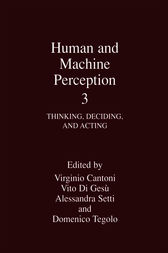 Human and Machine Perception 3 by Virginio Cantoni