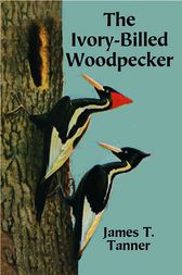 The Ivory-Billed Woodpecker by James T. Tanner